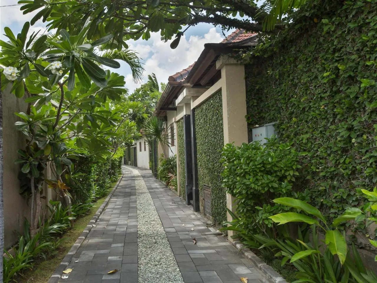 Disini Luxury Spa Villas-Chse Certified Seminyak  Villa